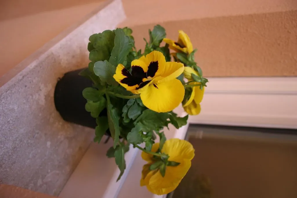 Note Sulla Piazza Bed & Breakfast Cagliari